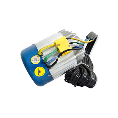 1000 Watt BLDC Motor - Datai 1000 Watt BLDC Motor - Datai