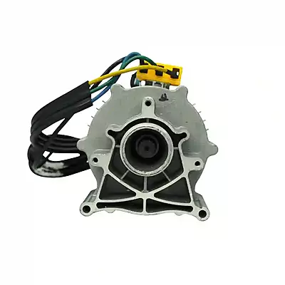 1000 Watt BLDC Motor - Datai 1000 Watt BLDC Motor - Datai