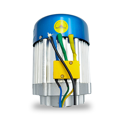 1000 Watt BLDC Motor - Datai 1000 Watt BLDC Motor - Datai