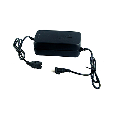 Pedal Rickshaw Battery Charger